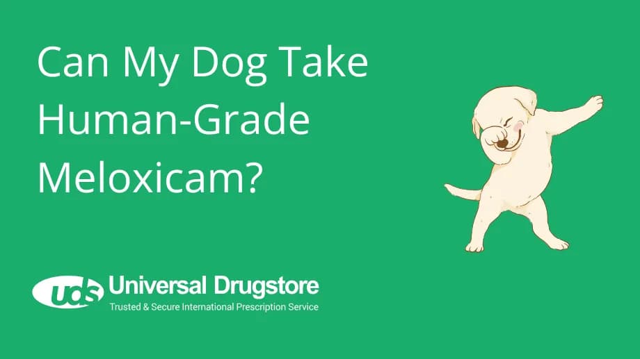 Can My Dog Take Human-Grade Meloxicam? A Complete Safety Guide for Pet Owners