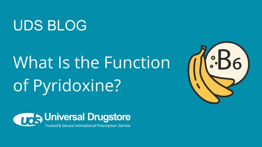 What Is the Function of Pyridoxine?